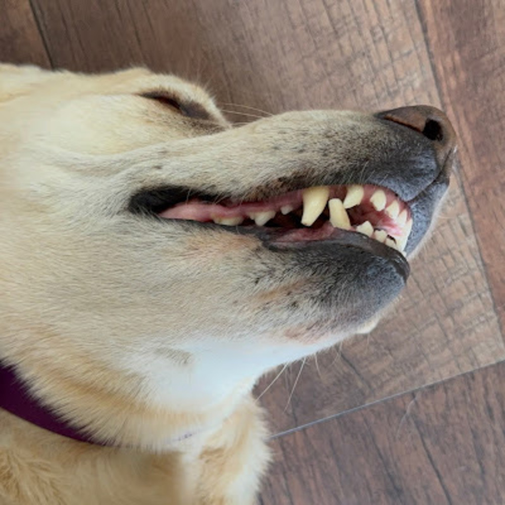Meet your Posher, Tally